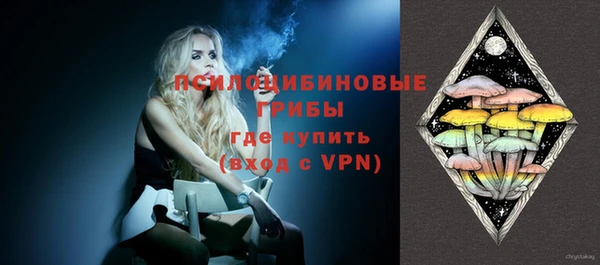 ALPHA-PVP Елизово