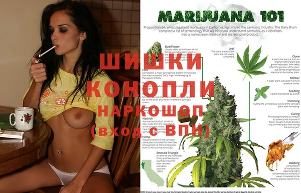 2c-b Ельня