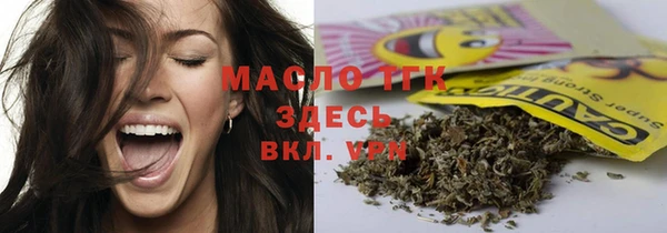 2c-b Ельня