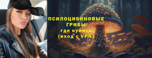 2c-b Ельня