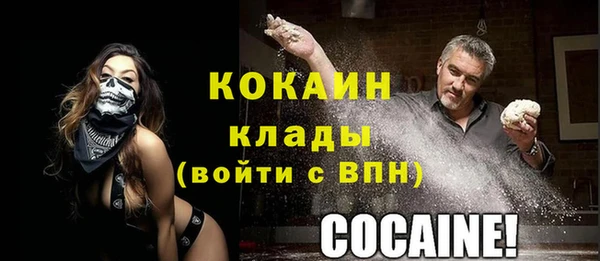 2c-b Ельня