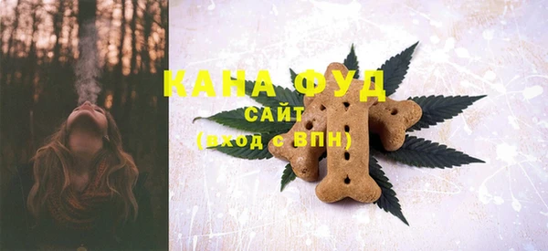 2c-b Ельня